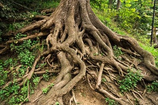 Death by loss of ancestors
