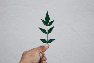 Embracing Minimalism: A Path to Clarity, Purpose, and Freedom