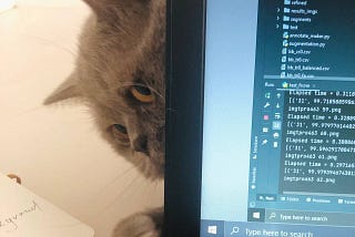 a cat touching the laptop screen