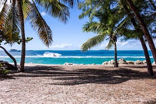 THE ONE  WITH THE COUPLE AT THE BEACH…