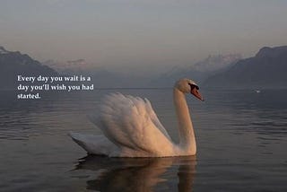 There’s No Perfect Time