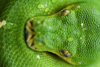 Moving from C to Python