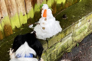 This morning there was sunshine in most of the UK. In Bristol, there was snow.