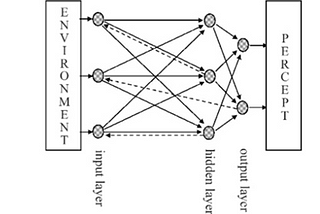 From Perceptrons to Tesla Vision