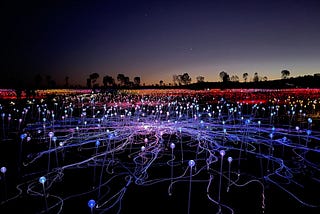 How I studied AI to find myself, and I found a community instead.