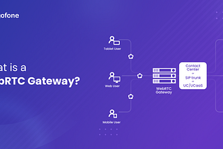 Navigating the WebRTC Gateway: Essential Insights