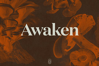 Welcome to Awaken.