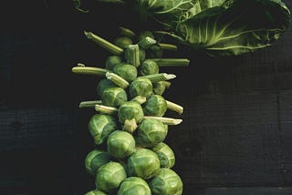 Why the humble Brussel sprout should be much more than a seasonal veg