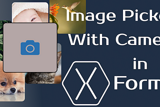 Image Picker with Camera in Xamarin Forms(No Plugins)
