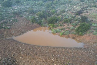 Dryland Alchemy: Building a Dam in the Desert