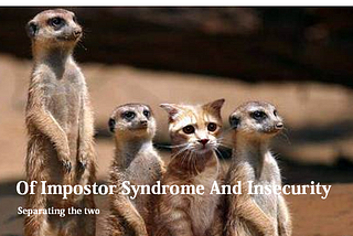 Of Impostor Syndrome and Insecurity