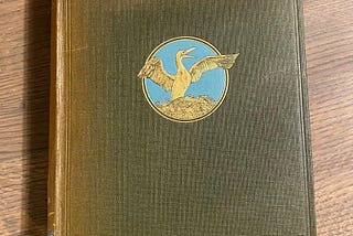 Wanderings of a Naturalist by Seton Gordon, 1921