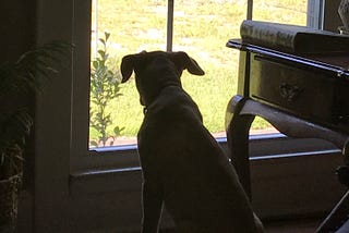 Taking Depression(s) Seriously