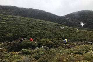 Finding the Why in Hiking the Heysen