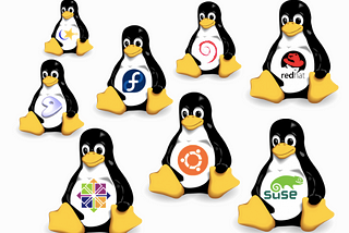 Getting Started with Linux Basics