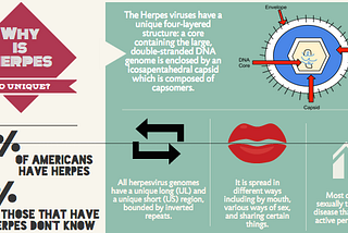 HSV (Herpes) — Kinkslayer