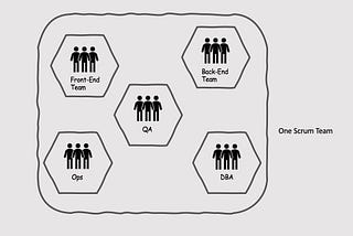 Organizing QAs in Agile software projects