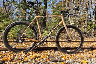 2018 Gold Trek Crockett Disc | Custom Road Build