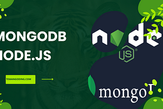 Access MongoDB With Node.JS