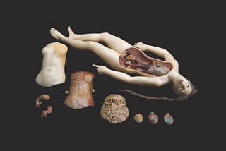 La belleza siniestra del cuerpo: unas notas sobre las Venus anatómicas, a propósito de…