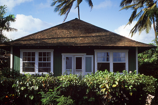 Green, wood house with palm trees and tropical plants