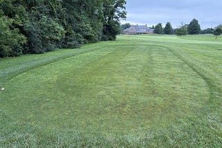July Heat! Summer Bent Decline, Peak Disease Pressure, 1st Fairy Ring and Brown Patch Research
