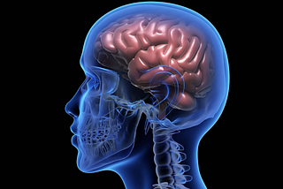 Brain Health Optimization Secrets