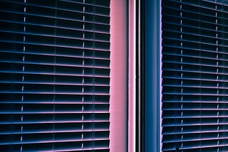 Unveiling the Allure of Shutter Blinds