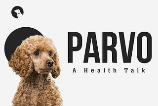 All about Parvovirus