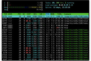 Microk8s on GCP VM