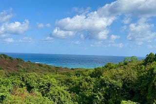 How to Deceive the Terrifying Demons of St. Kitts