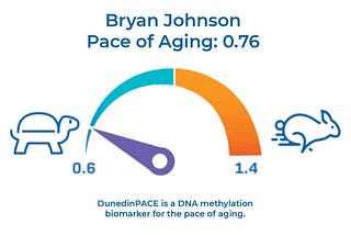 How fast are you aging?