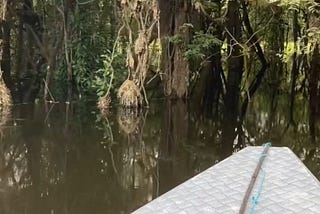 A Journey Through the Scents of the Amazon