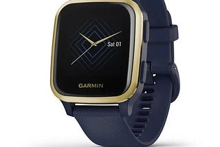 Buy Garmin Venu Sq Music Edition Slate, Black Gold Watch in India