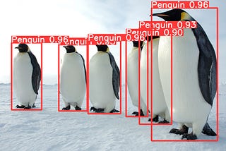 The practical guide for Object Detection with YOLOv5 algorithm