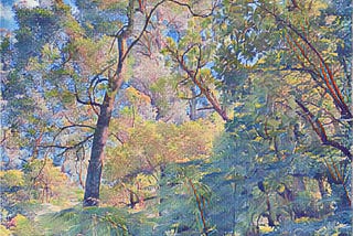 Diverse canopy of wet eucalypt forest, Healesville, Victoria, Australia