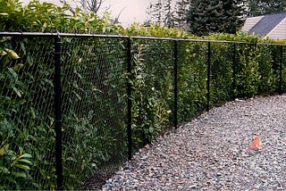 Why Chain Link Is Good for Security Fencing