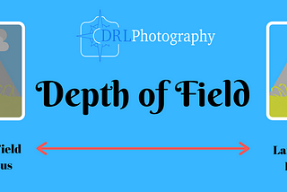 What the Hell is Depth of Field?! — Daniel Long Photography