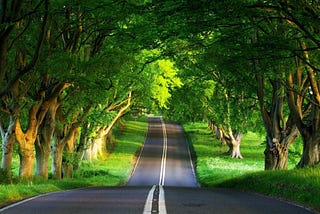 Você é um transicionista?