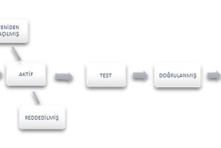 Yazılım Testlerinde Hata Yönetimi