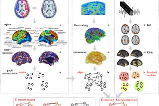 Graph Convolutional Networks in autism