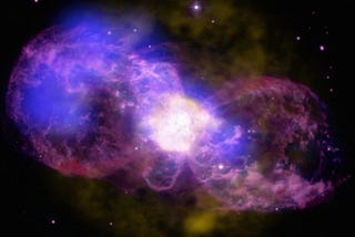 Purple flower in the Universe