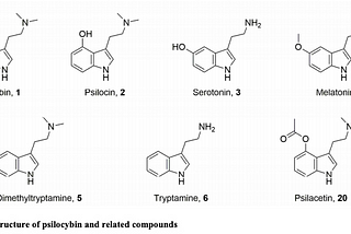 Psilocibina (1)