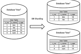 NEAR VISION #2: What is Sharding?