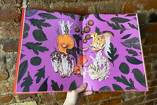 On My Shelf: Art Books