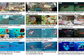 WebUOT-1M: A Dataset for Underwater Object Tracking