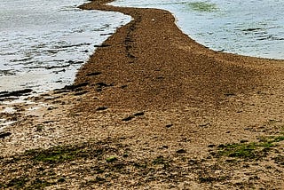 The backshore where I saw the couple and their dog