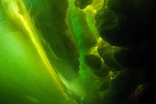 Diver under the icebergs of the White Sea, Russia