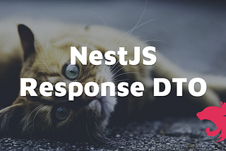 Proper Way To Create Response DTO in Nest.js