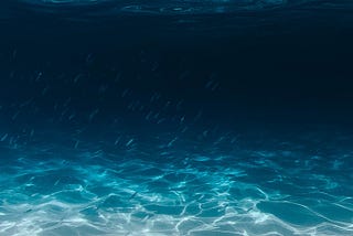 How Data Governance Can Help Create a Digital Twin of the World’s Oceans